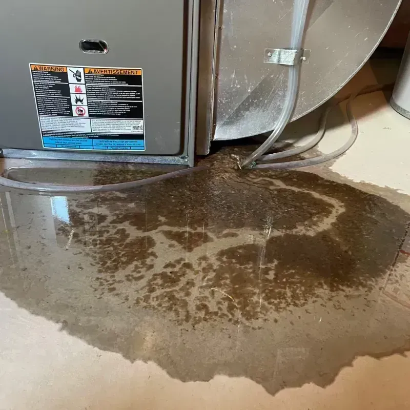 Appliance Leak Cleanup in Boyle County, KY